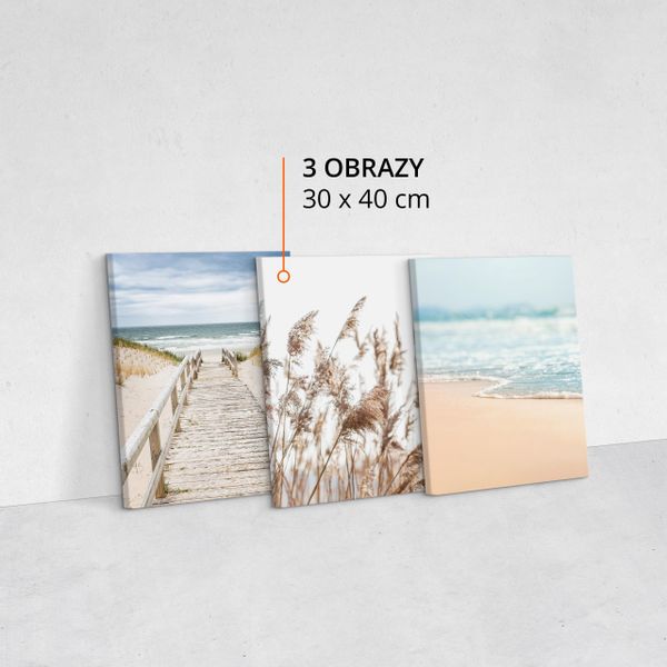 Obrazy Do Salonu PLAŻA Morze Styl Boho Trawa Pejzaż 90cm x 40cm Arena pl