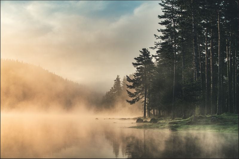 Fototapeta Las We Mgle Jezioro Pejza Do Sypialni X Arena Pl