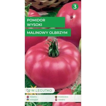 Pomidor Gruntowy Wysoki Malinowy Olbrzym Owoce Bardzo Du E Rednio