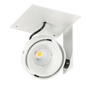 LAMPA sufitowa PATRIZIO GL7118-1/1X12W 4000K WH+BL Italux podtynkowa OPRAWA regulowana LED 12W wpust reflektorek biały
