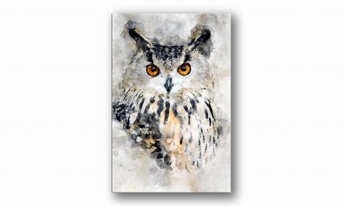 OBRAZ NA PŁÓTNIE 140 Sowa akwarelowa 60x90cm na Arena.pl