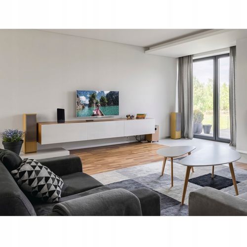 Antena pokojowa HAMA DVB-T2 PRO50 FL-2 na Arena.pl