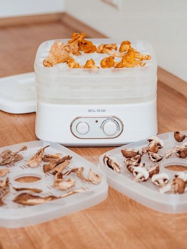 SUSZARKA DO GRZYBÓW OWOCÓW WARZYW RYB REGULACJA 5 SIT na Arena.pl