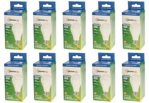 Żarówka LED GLS E27 20W barwa zimna PREMIUM 10 SZTUK SPECTRUM LED na Arena.pl
