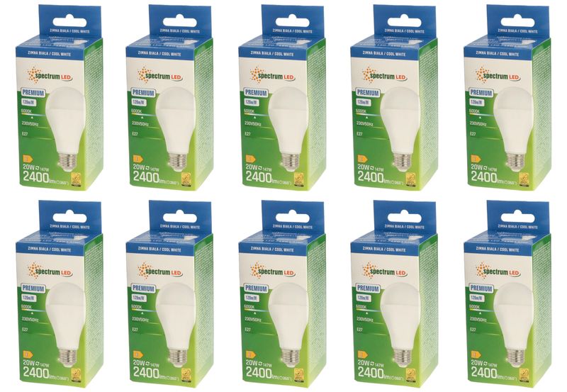 Żarówka LED GLS E27 20W barwa zimna PREMIUM 10 SZTUK SPECTRUM LED zdjęcie 1