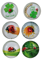 Szklany Magnes Na Lodówkę Szczęśliwa Biedronka