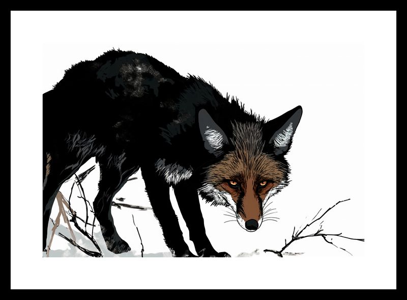 Plakat 30x20cm Nieufny Lis zdjęcie 3