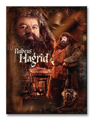 Harry Potter Hagrid - Obraz na płótnie 30x40 cm na Arena.pl
