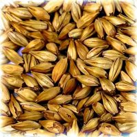 Słód Château Cara Gold® 120 EBC Castle Malting® 1 kg