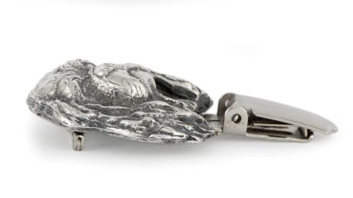 Cavalier King Charles Spaniel - klips - 287 na Arena.pl