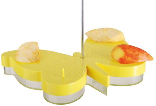 Karmnik dla motyli na Arena.pl