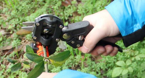 SEKATOR BLISTER NR:7031 na Arena.pl