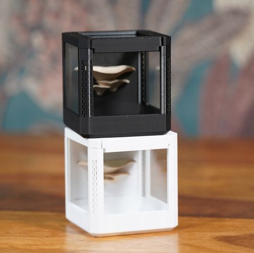 Terrarium szklane -6,5 x 6,5 x 6,5 dla pająka, modliszki, skakuna na Arena.pl