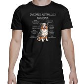 Owczarek Australijski - anatomia - męska koszulka na prezent L PIES PUPIL