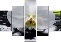 70 100CM OBRAZ 5 ELEM STORCZYK KAMIENIACH DRUK PŁÓTNO