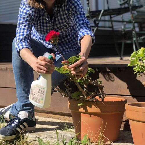 Naturalny Środek na Mszyce i Wełnowce | Ekstrakt z Pokrzywy ECOLEAVEX 750ml na Arena.pl