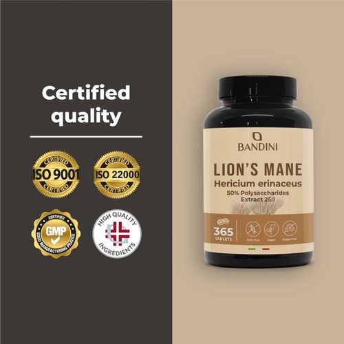 Bandini Lions Mane Mushroom 2000mg - 365 tabletek na Arena.pl
