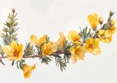 Plakat 35x25cm Żółte Kwiaty