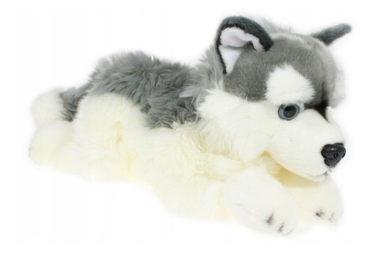 Pies husky 42cm 32041 zdjęcie 1