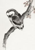 Plakat 50x70cm Japanese Owl, Hokusai Japoński Vintage do Salonu