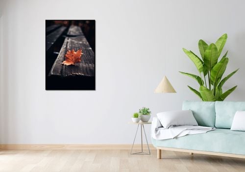 Plakat 67,5x95cm Pojedynczy Liść na Arena.pl