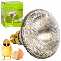 SUPER KWOKA PROMIENNIK LAMPA GRZEWCZA ŻARÓWKA E27 100W DLA PISKLĄT BIAŁA