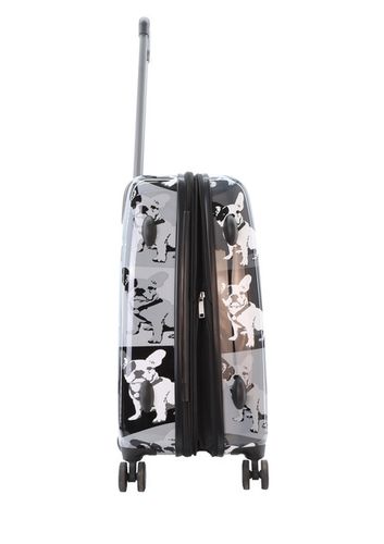 Walizka średnia SAXOLINE BULLDOG Mono  M na Arena.pl