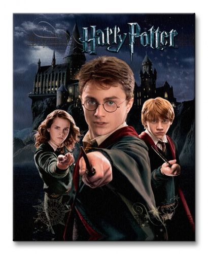 Harry Potter Harry Ron Hermione - Obraz na płótnie 40x50 cm na Arena.pl