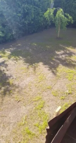 Trawa UNIWERSALNA nasiona trawy SAMOZAGĘSZCZAJĄCA odporna na DEPTANIE 5kg na Arena.pl