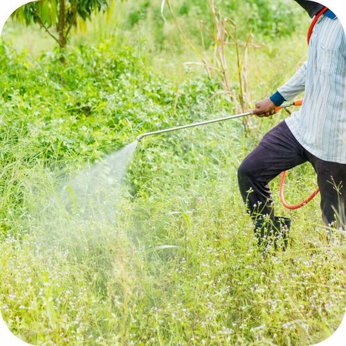 Monsanto Roundup Plus 360 SL 5l Chwasty Randap na Arena.pl