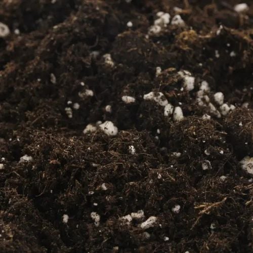 BIOBIZZ LIGHT-MIX 20L, Organiczna ziemia kwiatowa z perlitem, pH 6.2 na Arena.pl