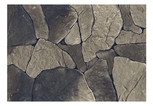 Fototapeta - Baltic Brown 400x280 na Arena.pl