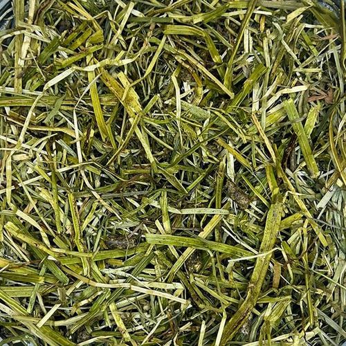 Pełnowartościowa Sieczka z Lucerny Pasza Dla Koni FDS ALFA COMPLETE 15kg na Arena.pl