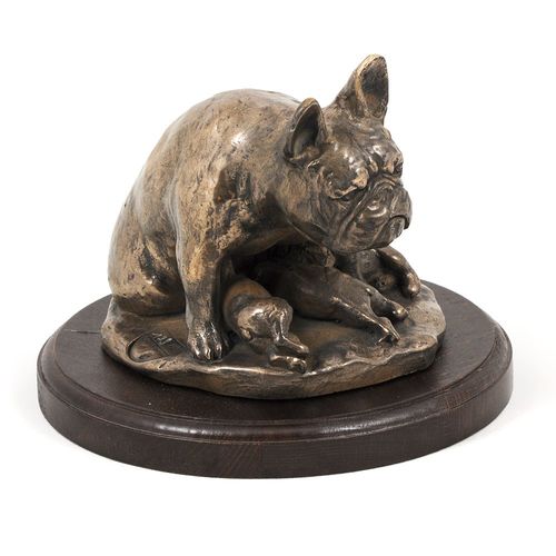 Buldog Francuski - figurka - 602 na Arena.pl