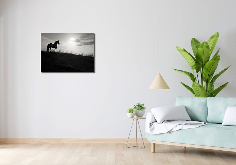Obraz 70x50cm Księżycowa Straż zdjęcie 2