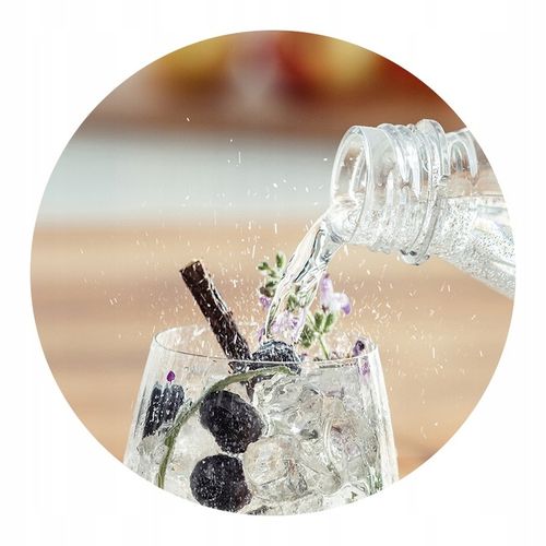 Saturator do gazowania wody SodaStream Terra butelka 1l + cylinder na Arena.pl