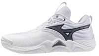 Buty do siatkówki męskie Mizuno WAVE MOMENTUM ELITE (V1GA251283) 46.5