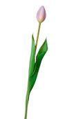 TULIPANY SILIKONOWE jak ŻYWE 40cm TULIPAN FIOLETOWY LILIOWY