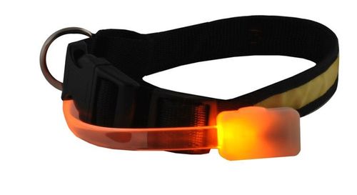 Obroża LED żółta - M na Arena.pl