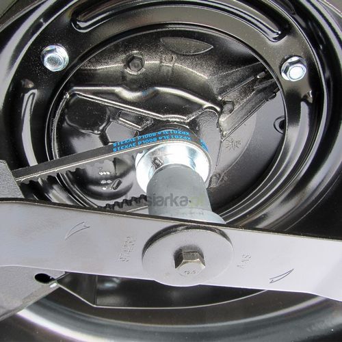 G-Force XSZ53 na Arena.pl