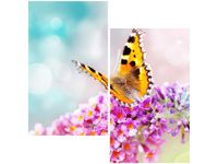 60X60CM MOTYL KWIATKACH DWU OBRAZ ŚCIAN