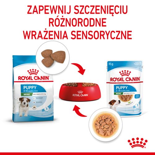 royal canin mini puppy 12x85g na Arena.pl