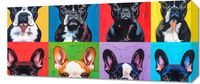 Obraz 70x30cm Buldogi Francuskie