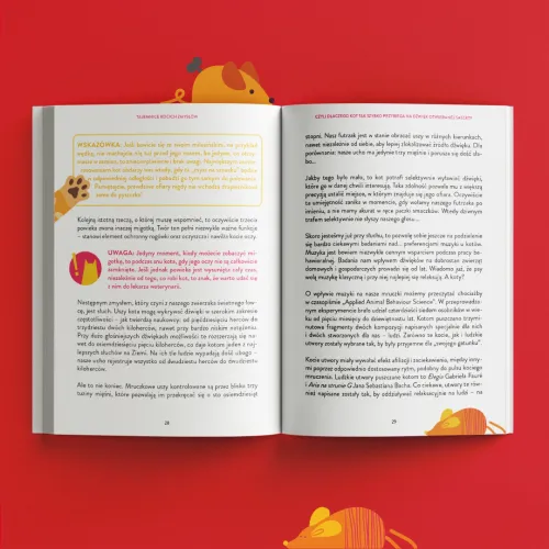 Tajemnice Świata Kotów na Arena.pl