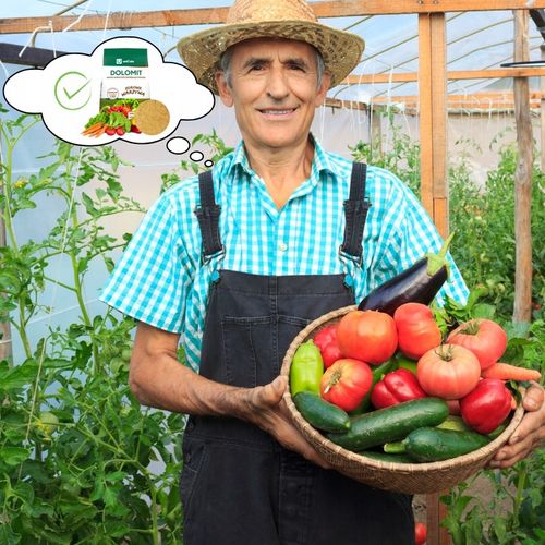 Wapno Ogrodowe Nawozowe Idealne Do Warzyw Owoców JESIEŃ Dolomit Sypki na Arena.pl