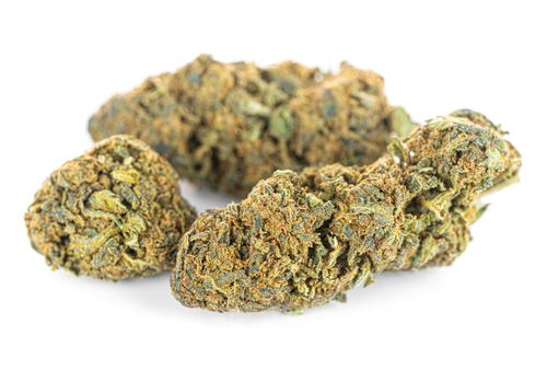 Susz konopny CBD | BLUEBERRY | 1000 g na Arena.pl