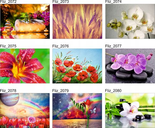 FOTOTAPETA KWIATY NATURA KAMIENIE CZERWONA RÓŻA na Arena.pl