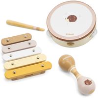VIGA PolarB Zestaw Instrumentow Muzycznych Z Je