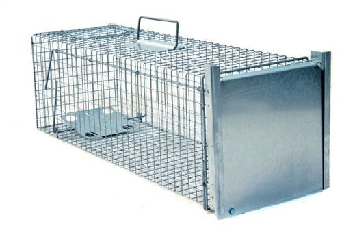 żywołapka pułapka lisy kuny wydry bobry koty na Arena.pl