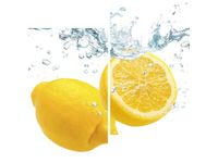 60X60CM CYTRYNOWE CHLUPNIĘCIE DWU OBRAZ ŚCIAN